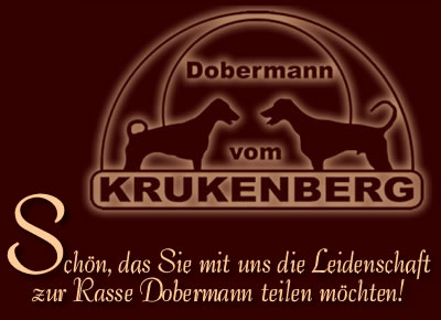 Dobermann vom Krukenberg